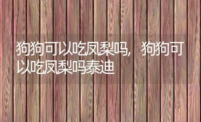 狗狗可以吃凤梨吗,狗狗可以吃凤梨吗泰迪 | 养殖资料