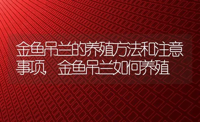 金鱼吊兰的养殖方法和注意事项,金鱼吊兰如何养殖 | 养殖学堂