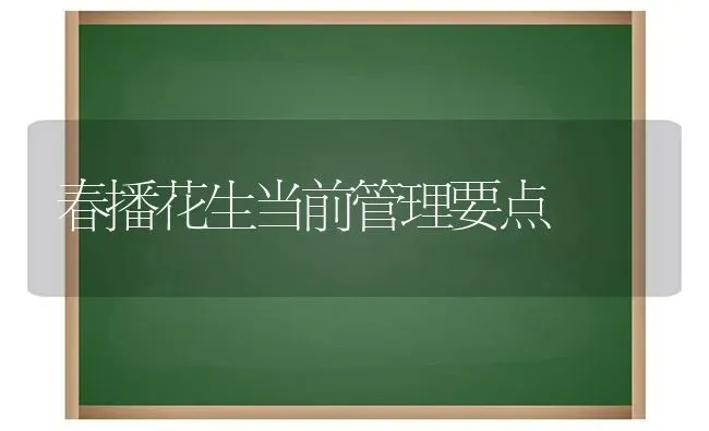 春播花生当前管理要点 | 养殖技术大全