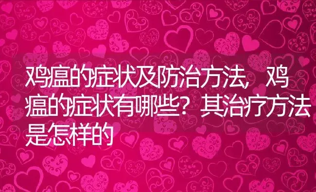 鸡瘟的症状及防治方法,鸡瘟的症状有哪些？其治疗方法是怎样的 | 养殖学堂