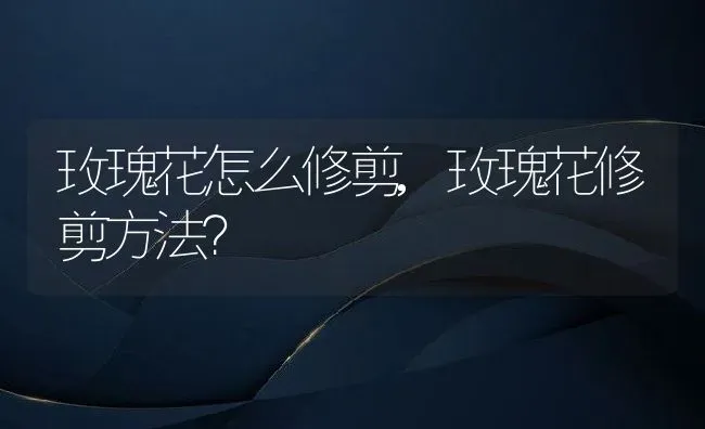 玫瑰花怎么修剪,玫瑰花修剪方法？ | 养殖学堂