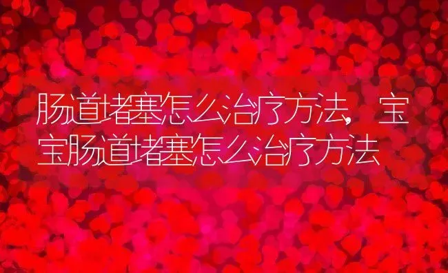 肠道堵塞怎么治疗方法,宝宝肠道堵塞怎么治疗方法 | 养殖科普