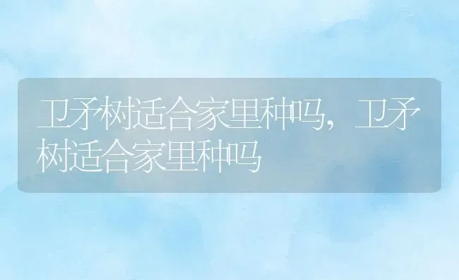 绿萝家里能养吗,为什么很多人都爱在家里养绿萝，对人有什么好处？ | 养殖科普