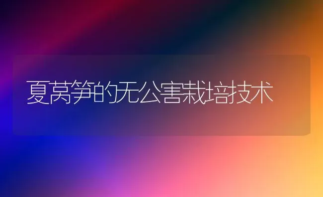 夏莴笋的无公害栽培技术 | 养殖知识