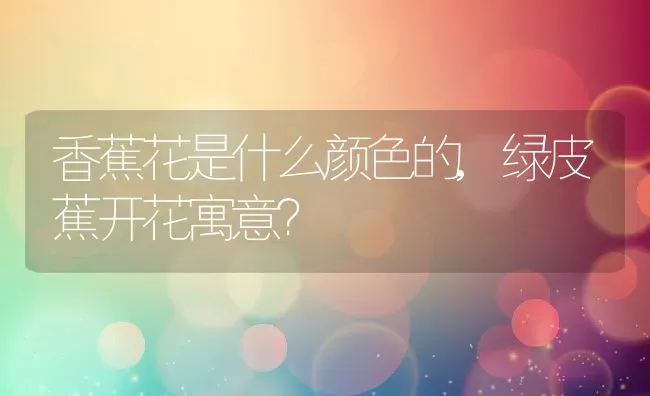 香蕉花是什么颜色的,绿皮蕉开花寓意？ | 养殖科普