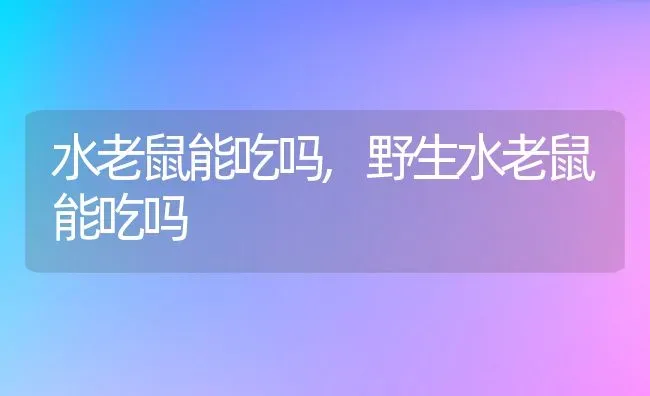 水老鼠能吃吗,野生水老鼠能吃吗 | 养殖科普