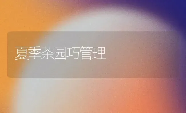 夏季茶园巧管理 | 养殖技术大全