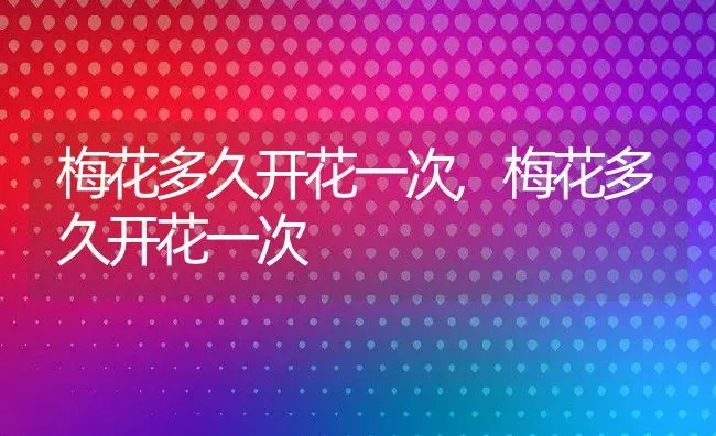 梅花多久开花一次,梅花多久开花一次 | 养殖科普