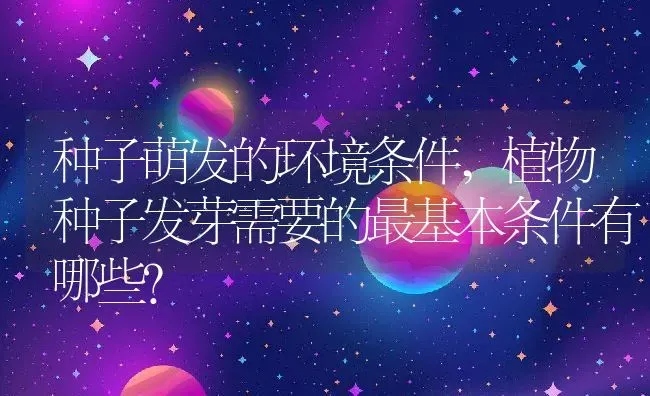 种子萌发的环境条件,植物种子发芽需要的最基本条件有哪些？ | 养殖科普