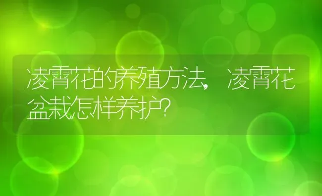 凌霄花的养殖方法,凌霄花盆栽怎样养护？ | 养殖科普