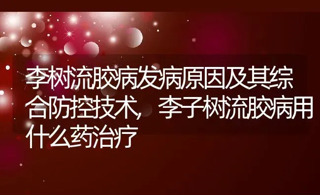 李树流胶病发病原因及其综合防控技术,李子树流胶病用什么药治疗 | 养殖学堂