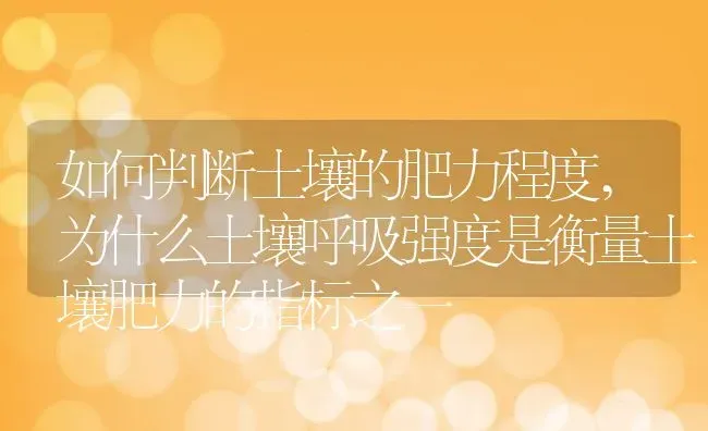 如何判断土壤的肥力程度,为什么土壤呼吸强度是衡量土壤肥力的指标之一 | 养殖学堂