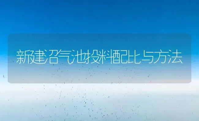 新建沼气池投料配比与方法 | 养殖知识