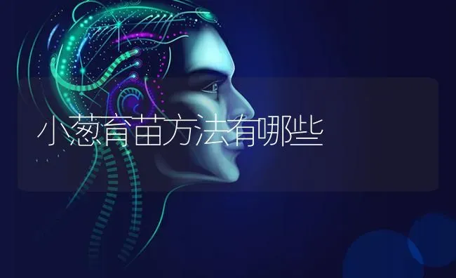 小葱育苗方法有哪些 | 养殖技术大全