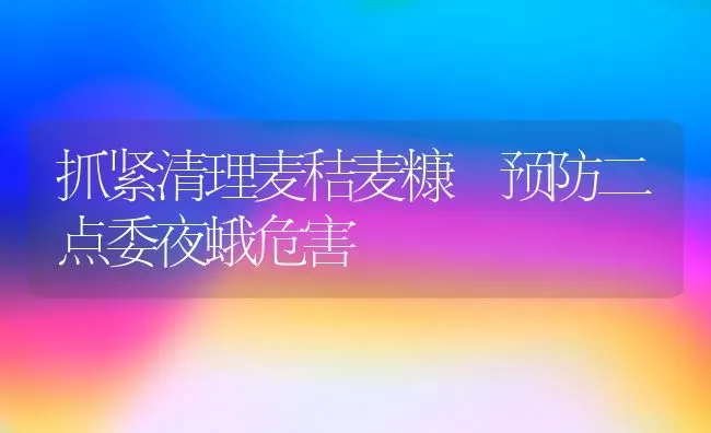 抓紧清理麦秸麦糠 预防二点委夜蛾危害 | 养殖知识