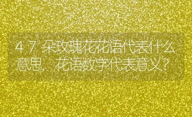 47朵玫瑰花花语代表什么意思,花语数字代表意义？ | 养殖科普