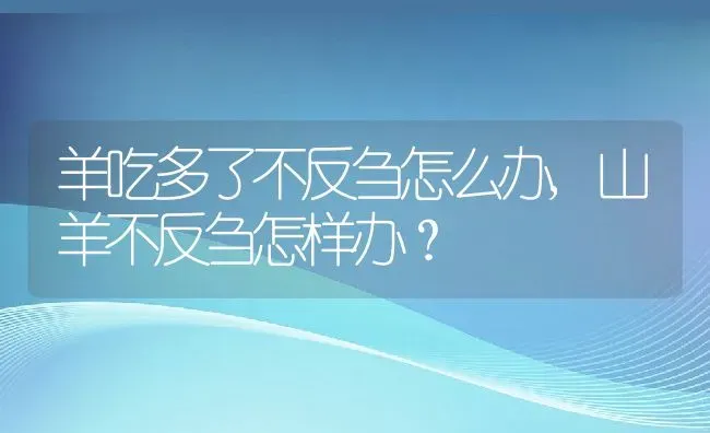 羊吃多了不反刍怎么办,山羊不反刍怎样办？ | 养殖科普