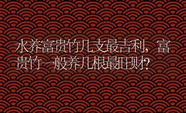 水养富贵竹几支最吉利,富贵竹一般养几根最旺财？ | 养殖科普