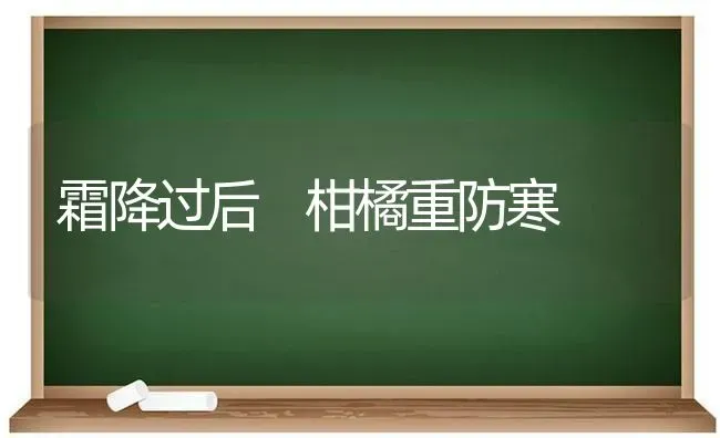 霜降过后 柑橘重防寒 | 养殖技术大全