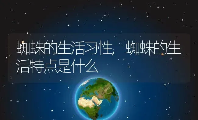 蜘蛛的生活习性,蜘蛛的生活特点是什么 | 养殖科普
