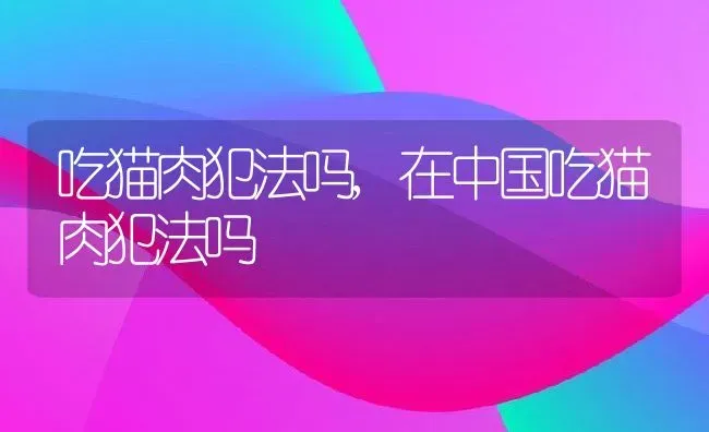 吃猫肉犯法吗,在中国吃猫肉犯法吗 | 养殖资料