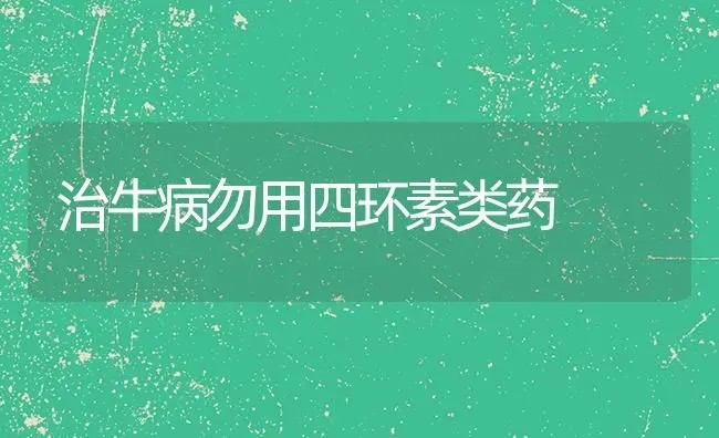 治牛病勿用四环素类药 | 养殖知识