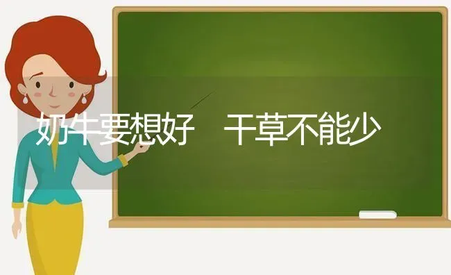 奶牛要想好　干草不能少 | 养殖知识