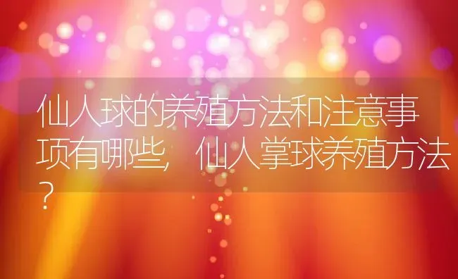 仙人球的养殖方法和注意事项有哪些,仙人掌球养殖方法？ | 养殖科普