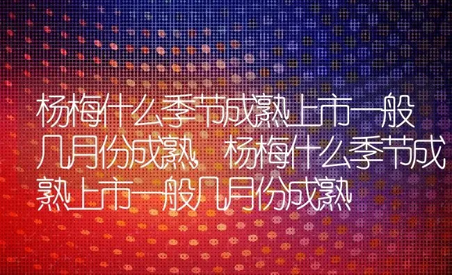 杨梅什么季节成熟上市一般几月份成熟,杨梅什么季节成熟上市一般几月份成熟 | 养殖科普