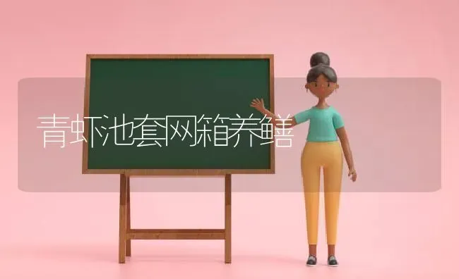 青虾池套网箱养鳝 | 养殖知识