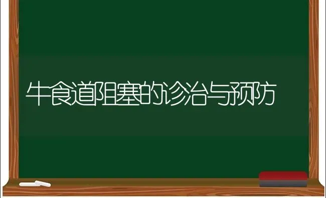 牛食道阻塞的诊治与预防 | 养殖知识