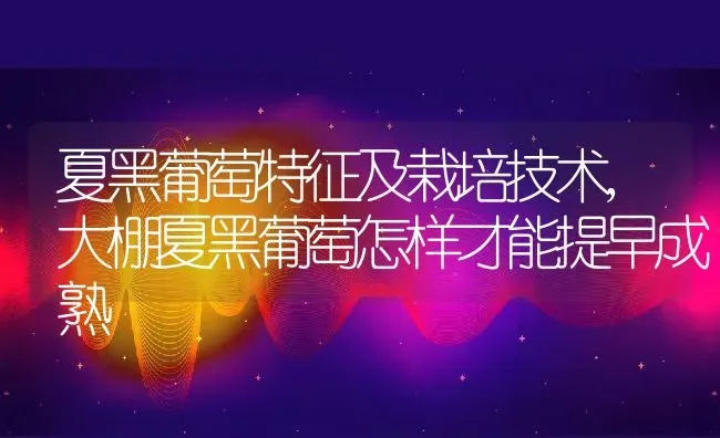 夏黑葡萄特征及栽培技术,大棚夏黑葡萄怎样才能提早成熟 | 养殖学堂