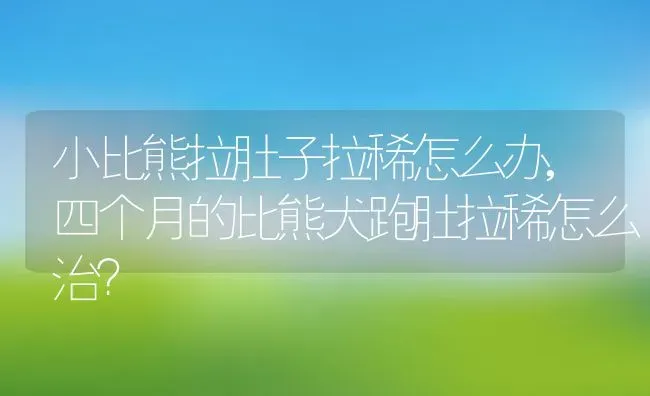 小比熊拉肚子拉稀怎么办,四个月的比熊犬跑肚拉稀怎么治？ | 养殖学堂