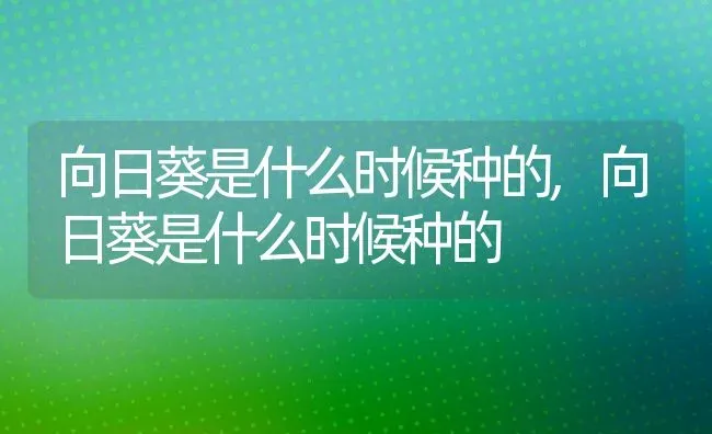向日葵是什么时候种的,向日葵是什么时候种的 | 养殖科普