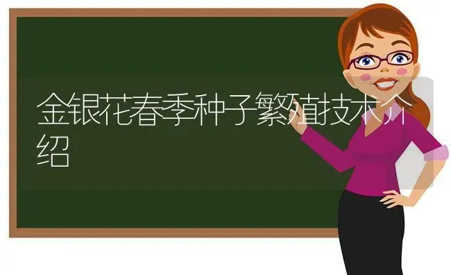 金银花春季种子繁殖技术介绍 | 养殖知识