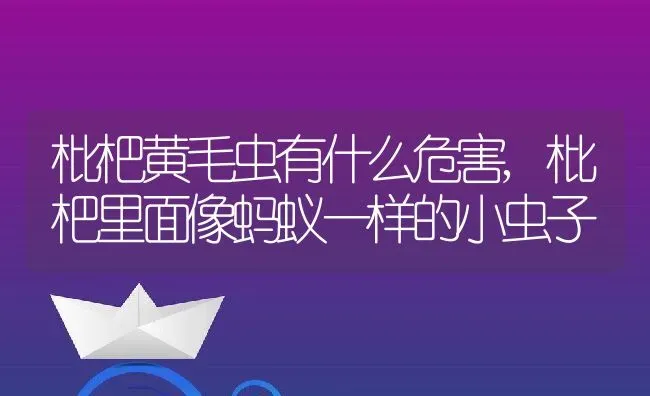 枇杷黄毛虫有什么危害,枇杷里面像蚂蚁一样的小虫子 | 养殖学堂