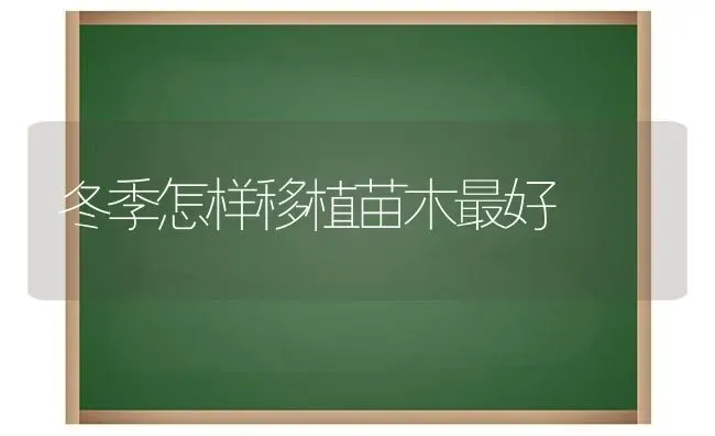 冬季怎样移植苗木最好 | 养殖知识