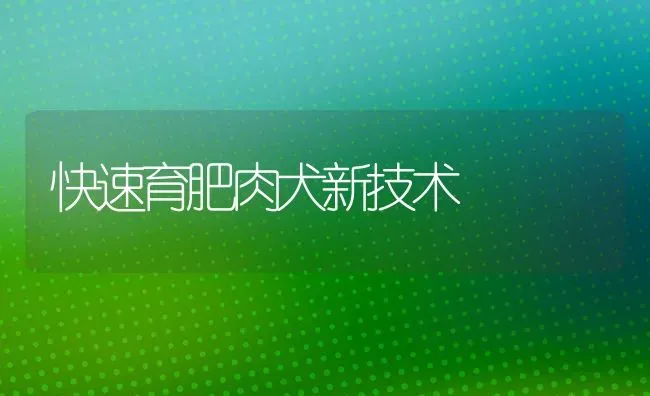 快速育肥肉犬新技术 | 养殖技术大全