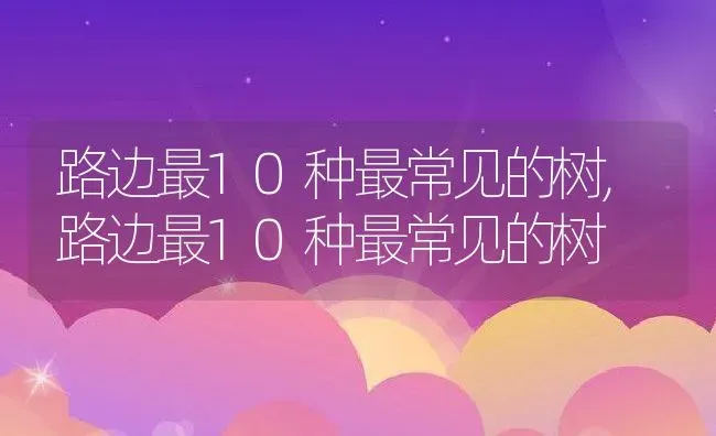 路边最10种最常见的树,路边最10种最常见的树 | 养殖科普