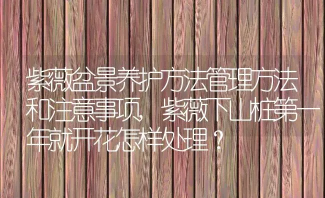 紫薇盆景养护方法管理方法和注意事项,紫薇下山桩第一年就开花怎样处理？ | 养殖科普