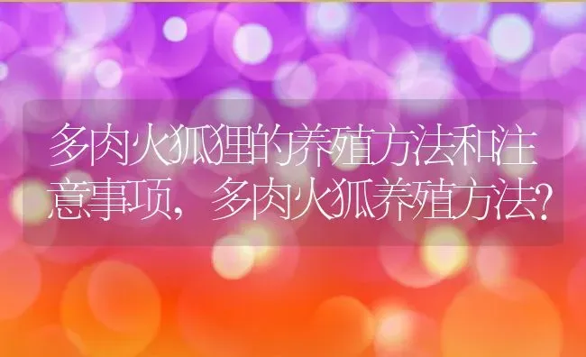 多肉火狐狸的养殖方法和注意事项,多肉火狐养殖方法？ | 养殖科普