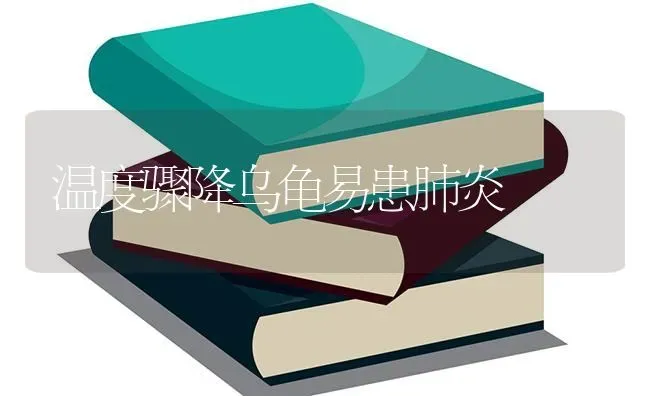 温度骤降乌龟易患肺炎 | 养殖知识