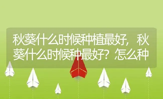 秋葵什么时候种植最好,秋葵什么时候种最好？怎么种 | 养殖学堂