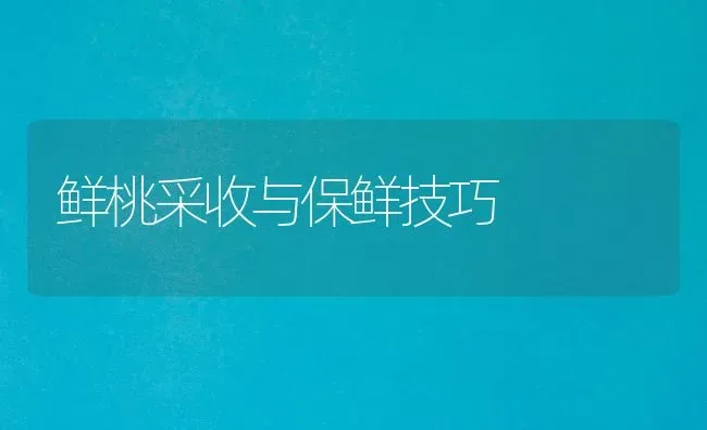 鲜桃采收与保鲜技巧 | 养殖技术大全