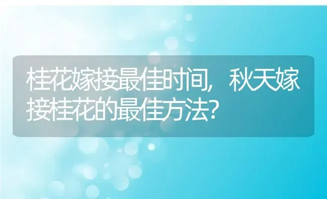 桂花嫁接最佳时间,秋天嫁接桂花的最佳方法？ | 养殖科普