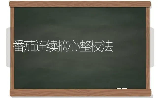 番茄连续摘心整枝法 | 养殖知识