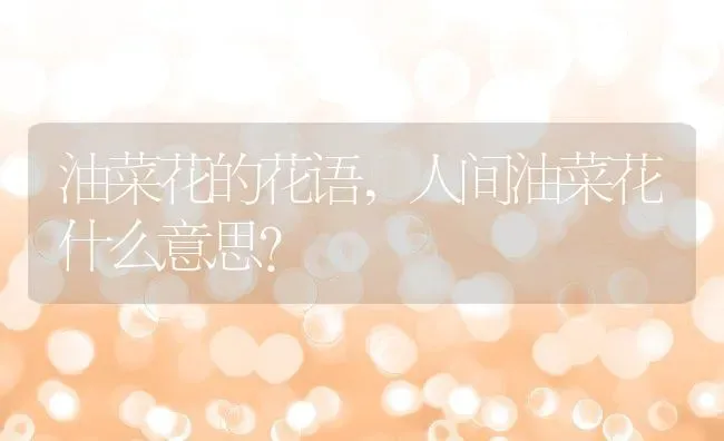 油菜花的花语,人间油菜花什么意思？ | 养殖科普