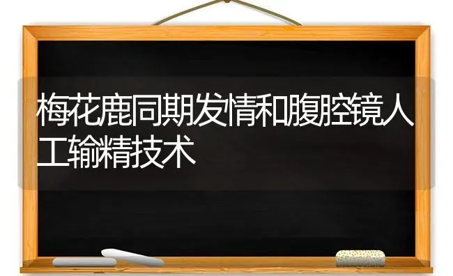梅花鹿同期发情和腹腔镜人工输精技术 | 养殖技术大全
