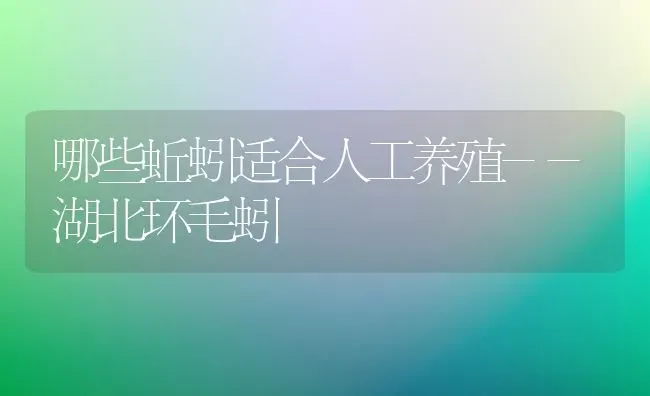 哪些蚯蚓适合人工养殖--湖北环毛蚓 | 养殖知识