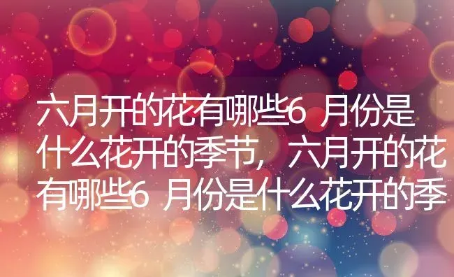 六月开的花有哪些6月份是什么花开的季节,六月开的花有哪些6月份是什么花开的季节 | 养殖科普